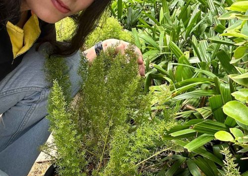 WhatsApp-Image-2024-06-05-at-10.40.48_23a8071c